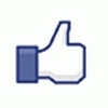 Facebook Like Button