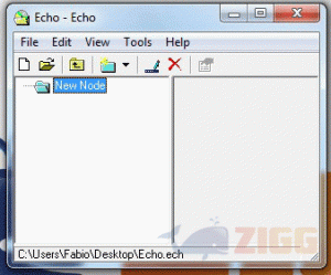 Echo 1.00.0025