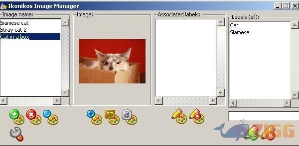 big 1235137035 26489 TAMgMdQ