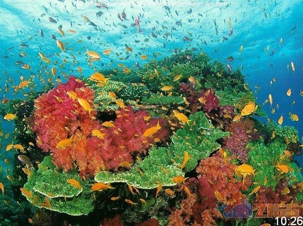 big 1236781101 27072 eEThXcc