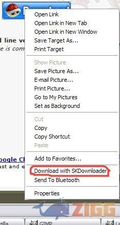 SKDownloader 1 big 1250082397 30207 nGCnKSp