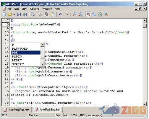 AkelPad 1 big 1259351855 21078 JhRBYeK