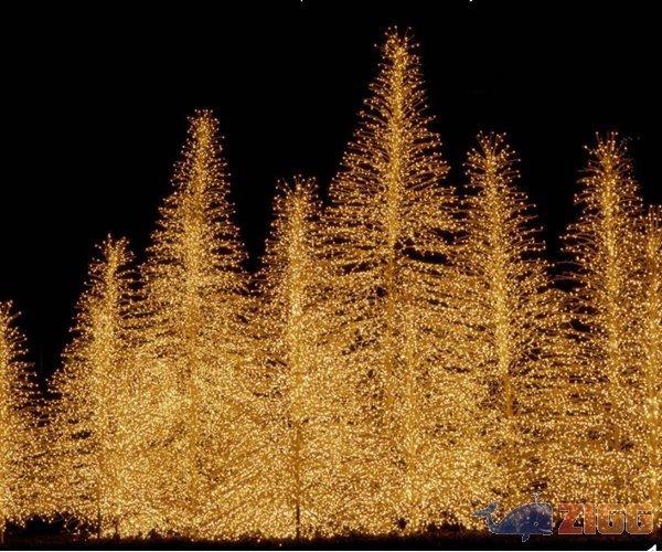 Holiday Spirit Screensaver 1 big 1261077507 32253 vrsoLtR