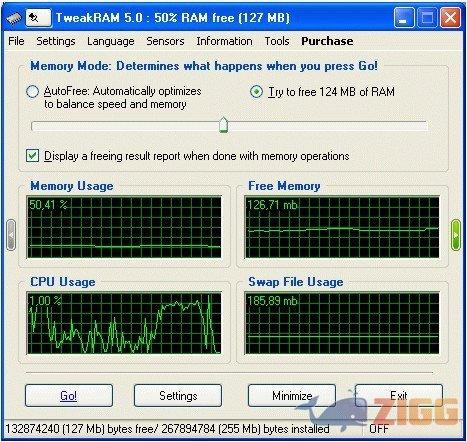 TweakRAM 1 big 1262875986 32550 E6A0B3S