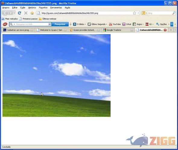 big 1274275247 33995 zihTX3k