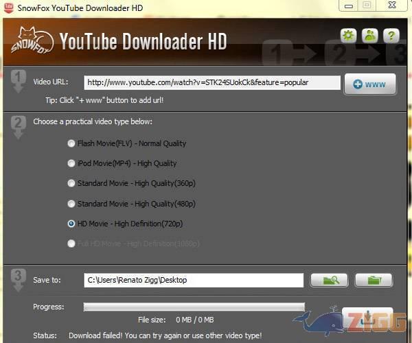 SnowFox YouTube Downloader HD 2