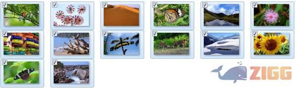 Colors of India Windows 7 Theme 2 big 1280409286 34948 M2qNvVf