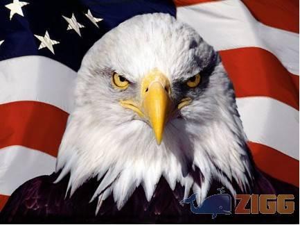 American Glory Screensaver 1 big 1280430573 17018 Z8qdG7Z