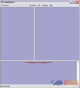 TeamSpeak Server