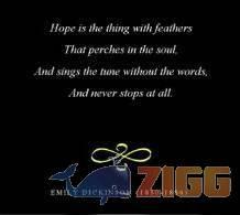 big 1283866558 8214 5qi8nXc