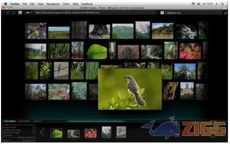 OutWit Images 1 big 1287430185 702 ZdjLgvc