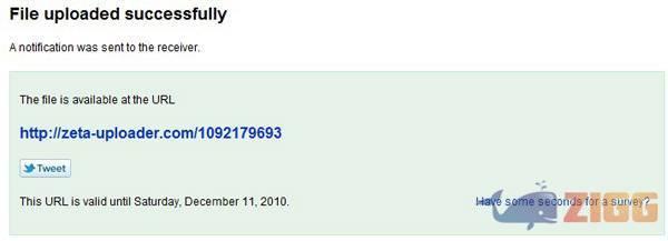 Zeta Uploader 3 big 1291210639 1587 olYYX8V 1