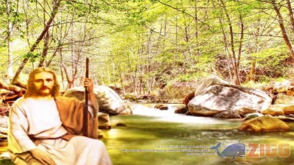 big 1294863407 2649 QOUMUuT 1