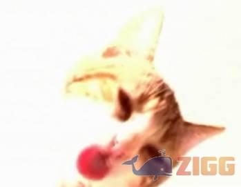 big 1296852549 3478 UPbeQEr 1