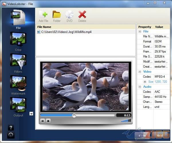 VideoLobster 1 big 1314727916 7189 qou1DtS 1