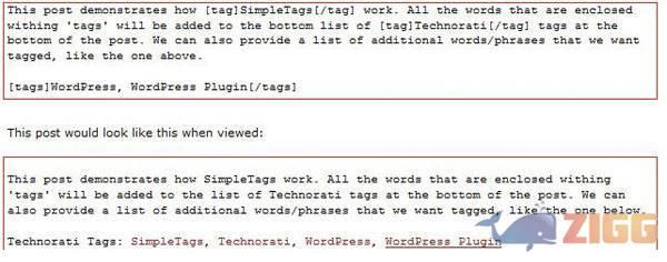 SimpleTags 1 big 1322750037 8641 8GWyAoi 1