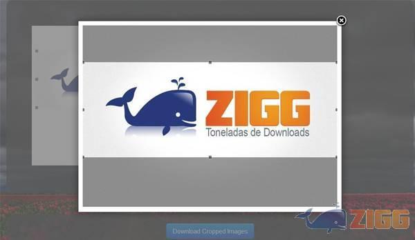 Croppola 1 big 1336154476 10454 AQkyJuF 1