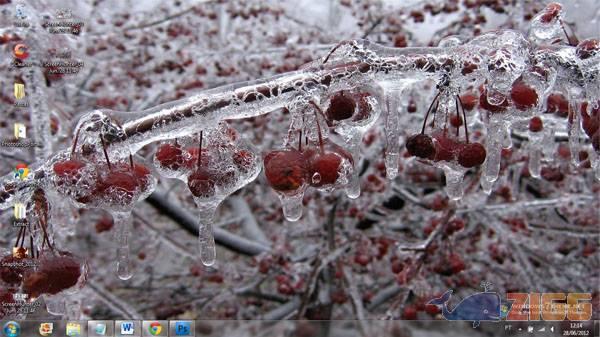 Frost on Plants Windows 7 Theme 1 big 1340896695 11329 6MIp7tR 1