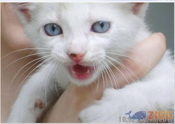 Photo on Desktop-7 1 big 1340978398 11364 OeM7aZL 1