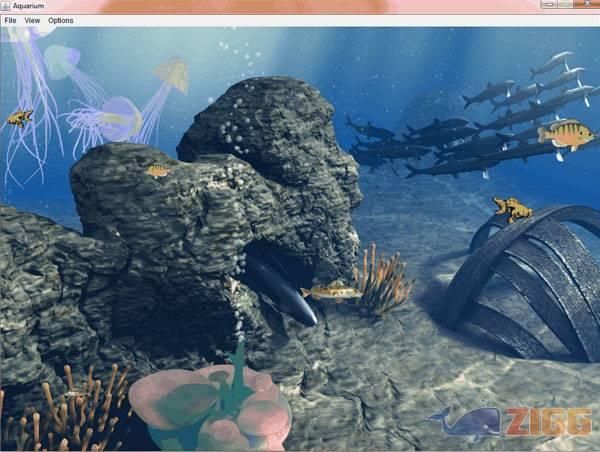 Fayimora Aquarium 1 big 1350907535 12705 6rDxfBm 1