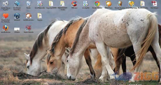 big 1351256245 12798 4c6hsdo 1