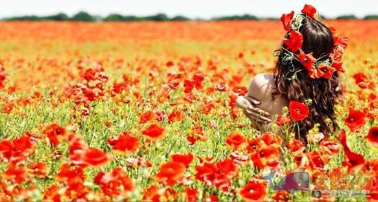 Poppy Windows 7 Theme 1 big 1352895407 13020 dEMYP26 1