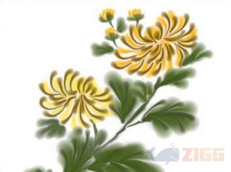 big 18a69cd4c77c84f3cdae08c1fc9a3028 wizardbrush 42FbUYk