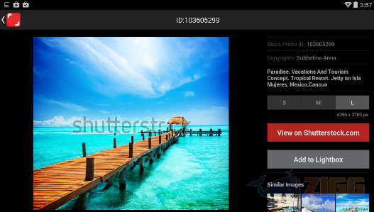 Shutterstock 