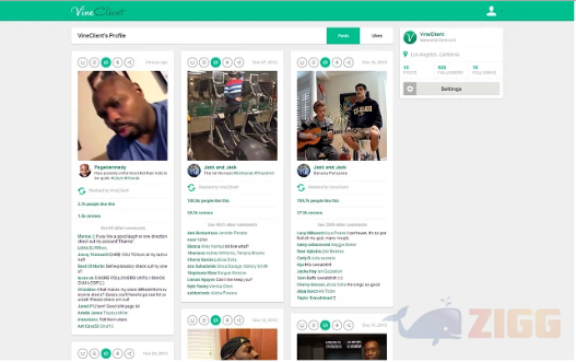 VineClient 2 vine client