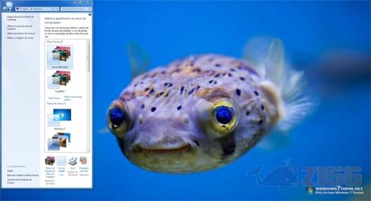 Coral Fish Windows 7 Theme 1 big 5271ed293596bebc7f3fa427cf7bd5a6 coral fish windows 7 theme QJlau1J 1