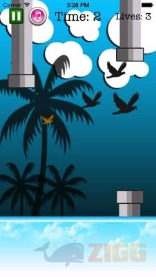 fly birdie