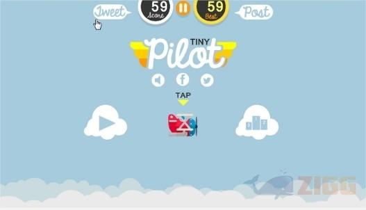 Tiny Pilot