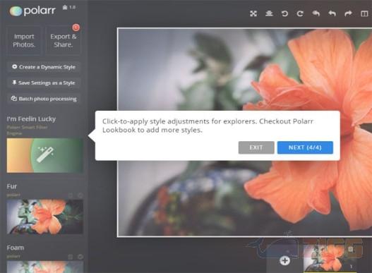 Pollar 3 big 82476837314932354c3d7f90826c5f01 pollar sFm4wUB 1