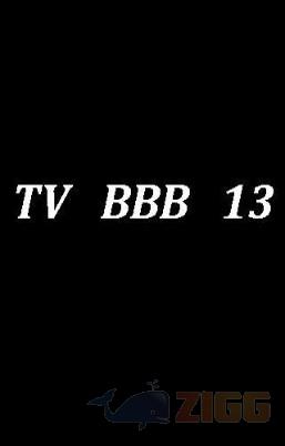 big a68aaeac8bde26191d5998a2de40e8e4 bbb 13 aovivo IxycsM7 1