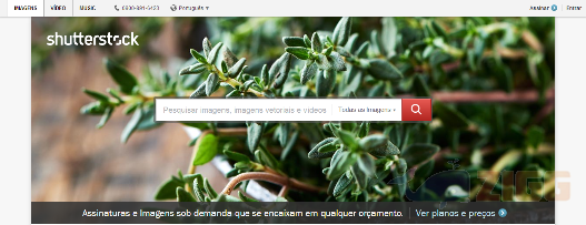 Shutterstock 2 Shutterstock