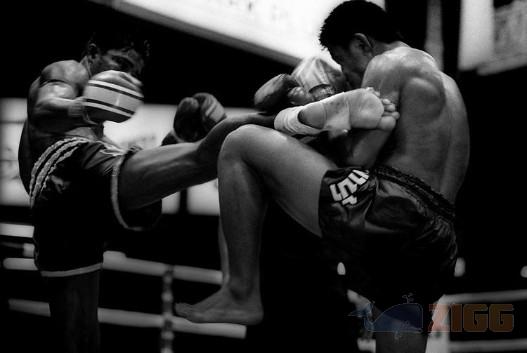MUAY THAI TECHNIQUES APK