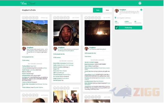 VineClient 1 vineclient