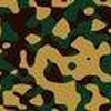 Camouflage