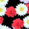 Blossoming Flowers Screensaver 1.3.416