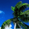 Bora Bora Wallpaper