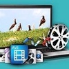 Gihosoft Free Video Cutter