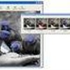 Tint Photo Editor