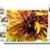 SlideWow Slideshow Maker
