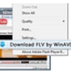 WinAVI FLV Converter 1