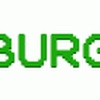 Burg