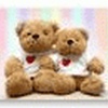 Teddy Bear Windows 7 Theme