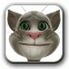 Talking Tom Cat
