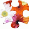 Jigsaws Galore Free