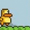 Gravity Duck