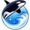 Orca Browser